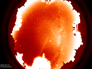 allsky07-07-2024_23:30.png allsky07-07-2024_23:30