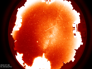 allsky08-07-2024_01:30.png allsky08-07-2024_01:30