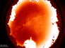 allsky10-08-2021_02:30.png allsky10-08-2021_02:30