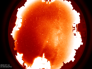 allsky14-07-2024_23:30.png allsky14-07-2024_23:30