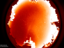 allsky29-05-2021_23:30.png allsky29-05-2021_23:30