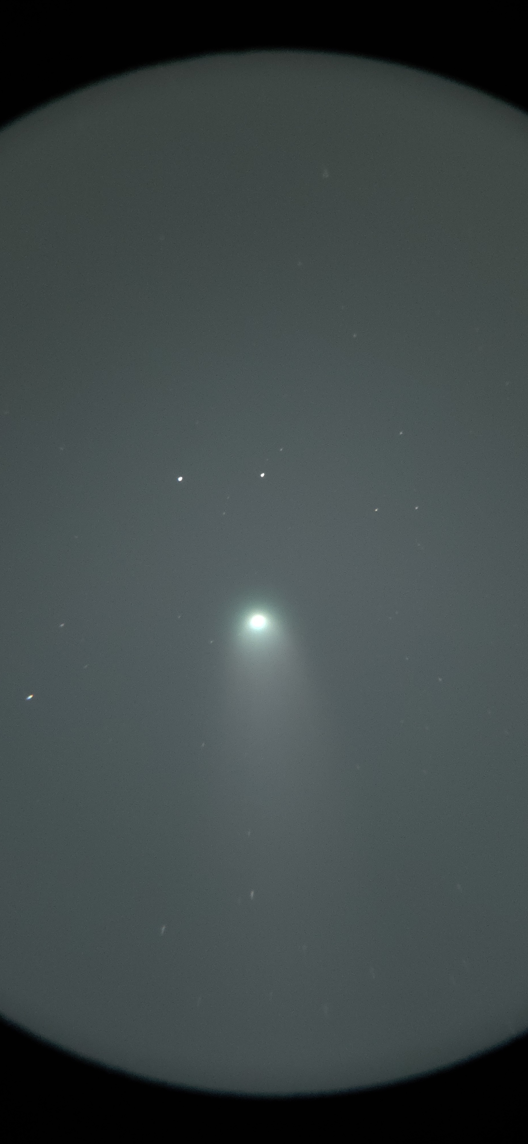 Comet Lemmon C/2025 A6